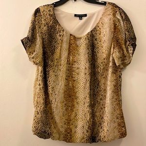 Short sleeve blouse with gold accent and elastic hem at waist